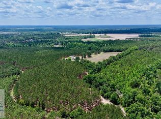 0 Neily Wagon Rd, Mc Rae Helena, GA 31055