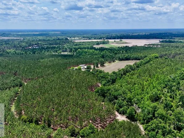 0 Neily Wagon Rd, Mc Rae Helena, GA 31055