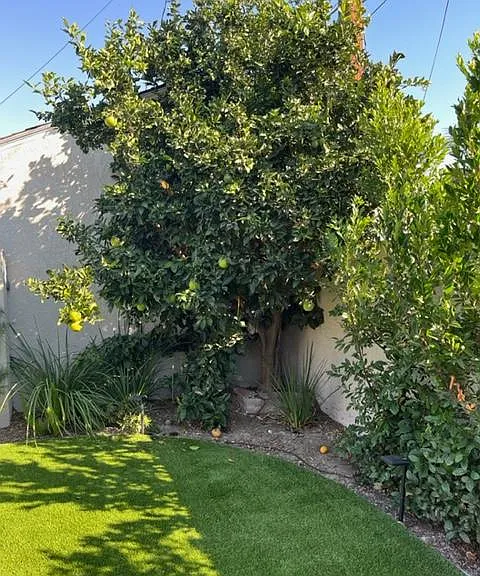 3662 Karen Ave — Photo 36