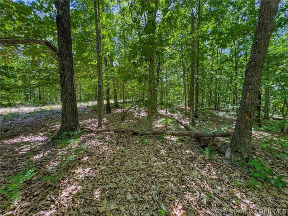 3rd image of Valley Spring Rd