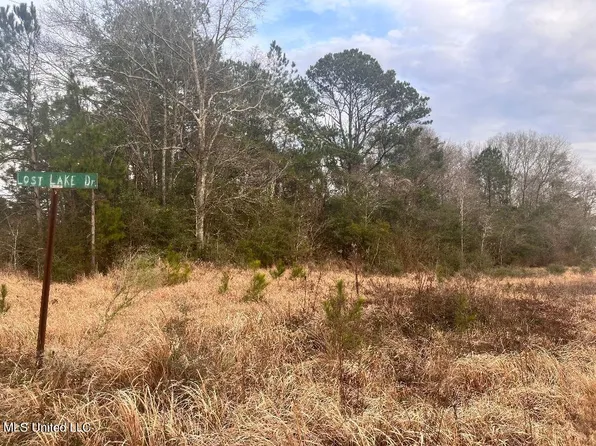 Nhn Lost Lake Dr, Poplarville, MS 39470