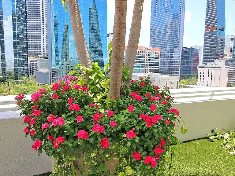 1250 S Miami Ave #802 — Photo 6