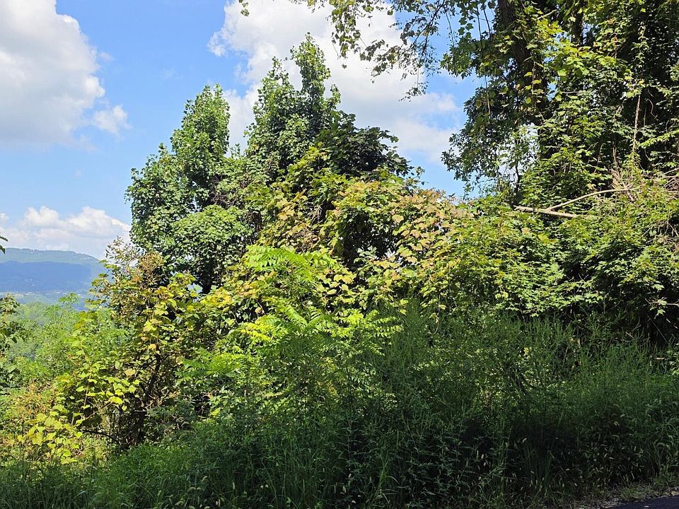 1st image of 28 Sugar Maple Loop Rd Lot 28