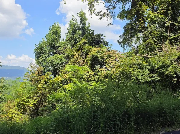 28 Sugar Maple Loop Rd Lot 28, Sevierville, TN 37862
