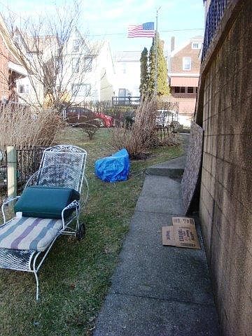 Side Yard