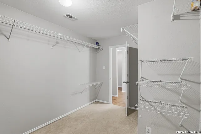 25537 Gold Yarrow — Photo 20