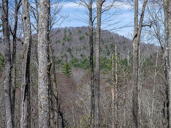 5th image of C20 Roaming Road