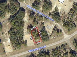 257 Malauka Rd #39, Ocklawaha, FL 32179