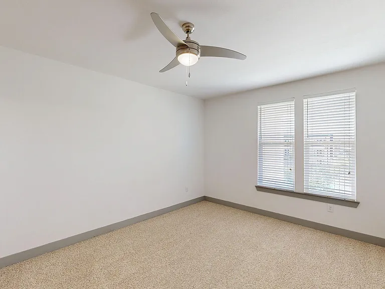 Palo Verde — Photo 118