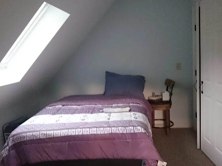 Bedroom, closet, skylight