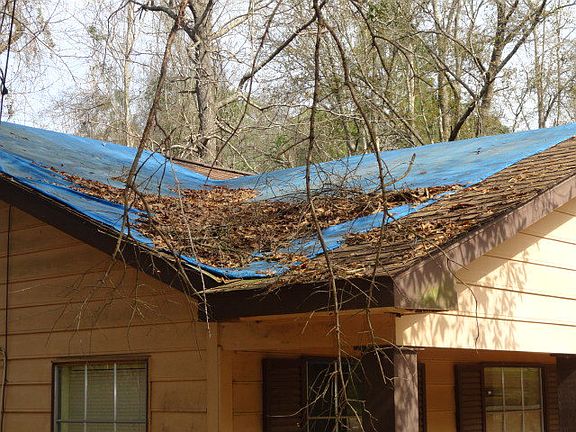 ROOF TARP