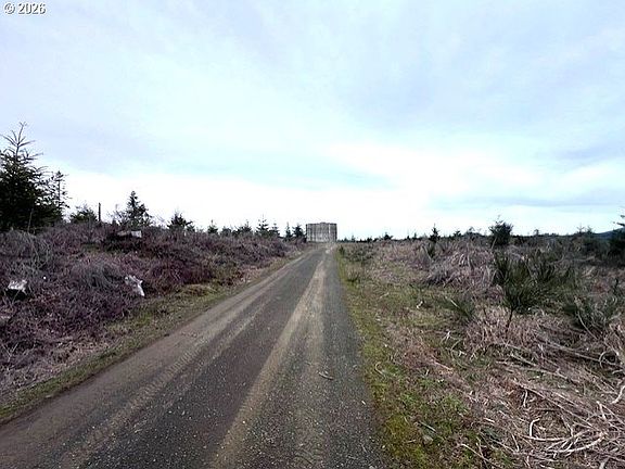 5th image of Timber Rd