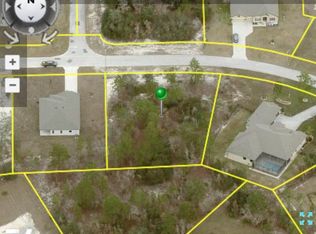 Pantera Loop LOT 33, Brooksville, FL 34613