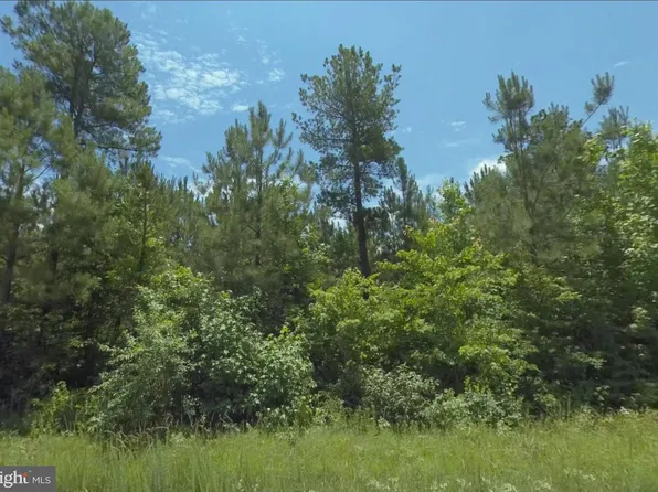 6 Dillard Rd, Lawrenceville, VA 23868