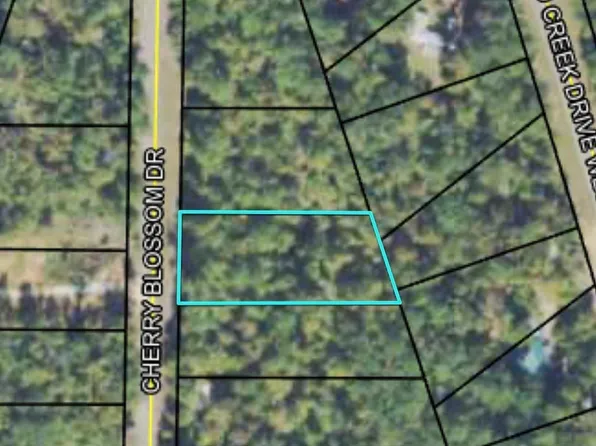 0 Cherry Blossom, Sparta, GA 31087
