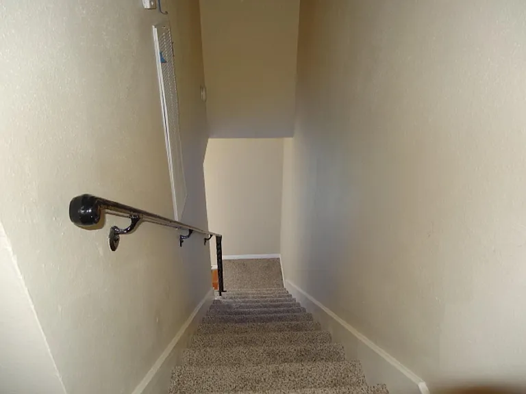 5522 Deep Forest Dr — Photo 37