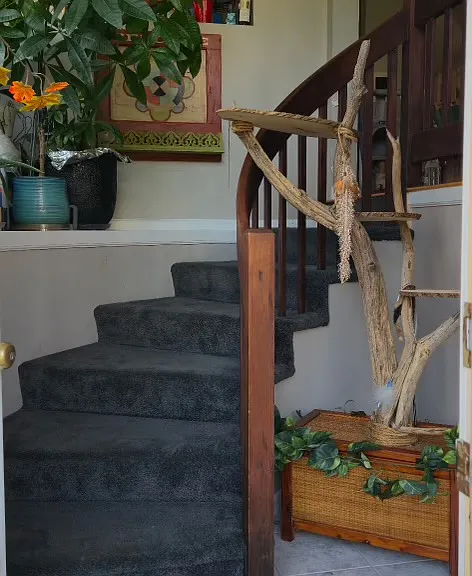 Brittania Cir — Photo 11