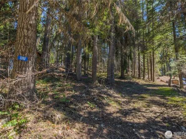 1240 Pineloch Sun Drive, Ronald, WA 98940