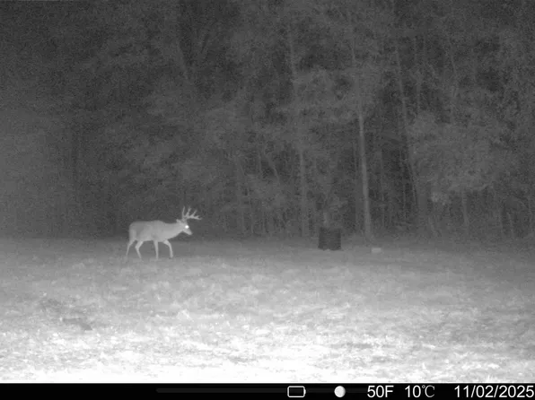 0 Morton Rankin County Line Rd, Morton, MS 39117