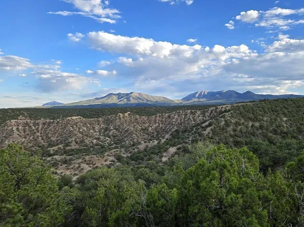 LOT 3 Colorado Land And Grazing, Gardner, CO 81040