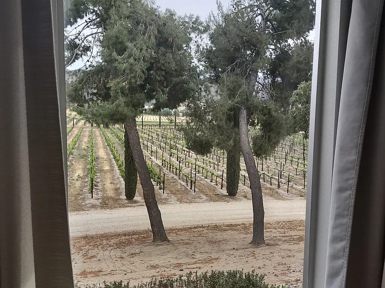 37850 De Portola Rd — Photo 63