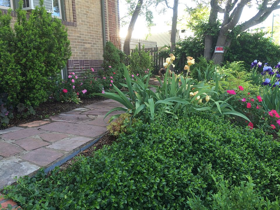 Front South Garden