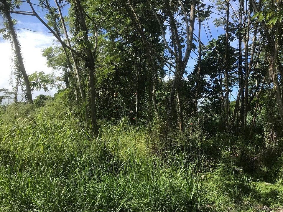 2nd image of Kahakai Blvd Lot 22