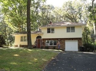 41 Lake Shore Dr S, Randolph, NJ 07869