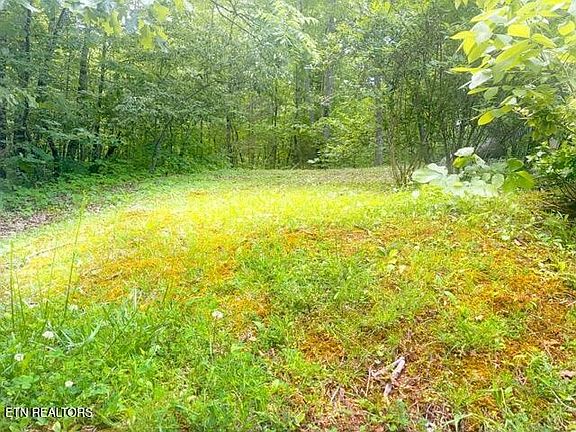 3rd image of 0 Paradise Ridge Dr