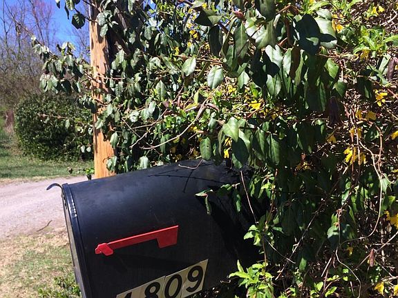 Standifer Circle and Hollister 223.JPG