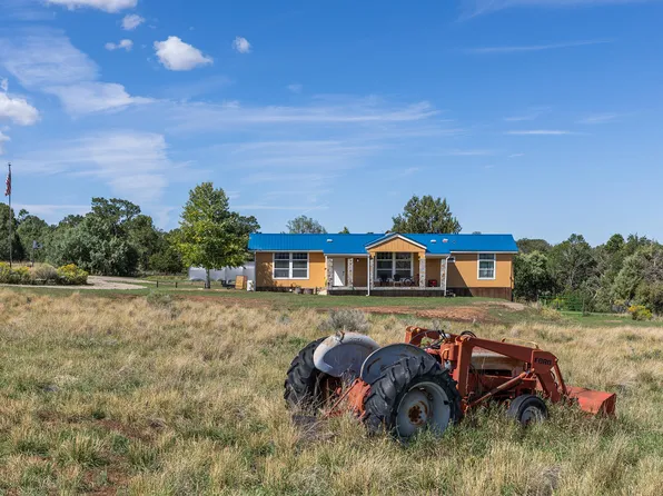 65 Bolinger Dr, Norwood, CO 81423