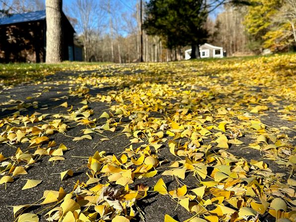 4502 State Route 17b