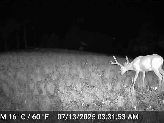 3rd image of Tbd Keating Gulch Rd