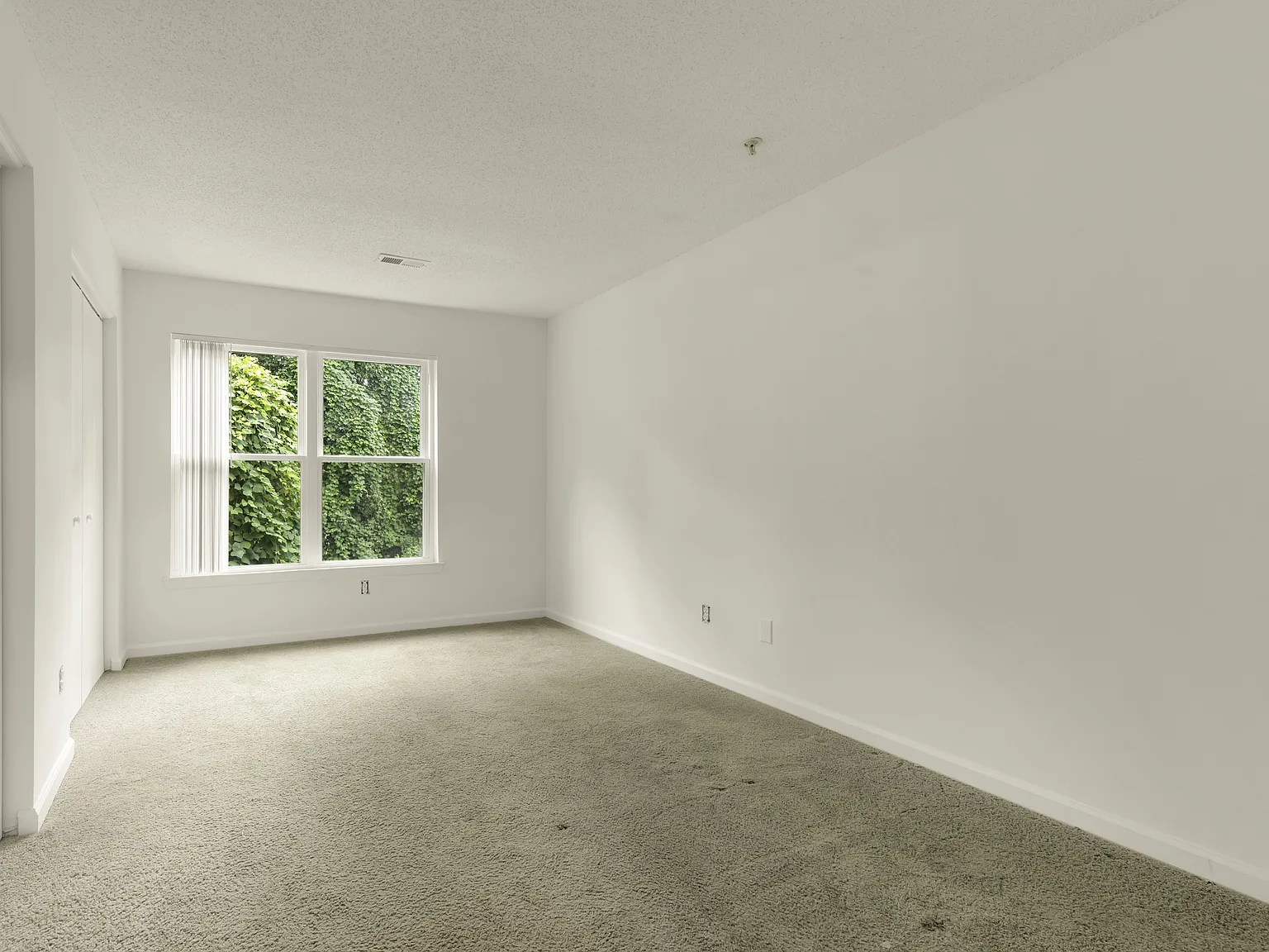 Poplar Manor — Photo 3