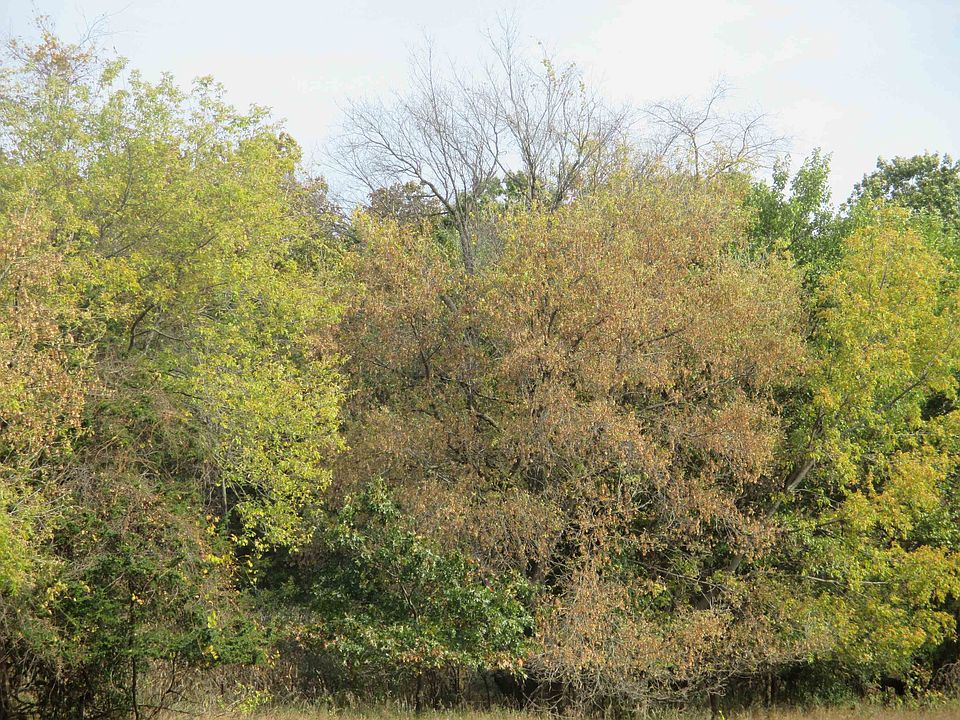 2nd image of 0 15th Rd