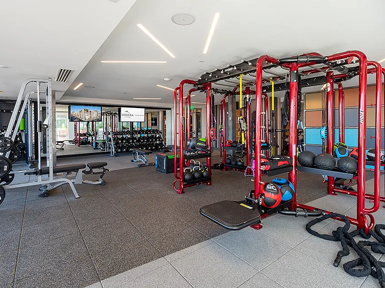 Club-quality fitness studio with the latest in cardio and strength equipment
