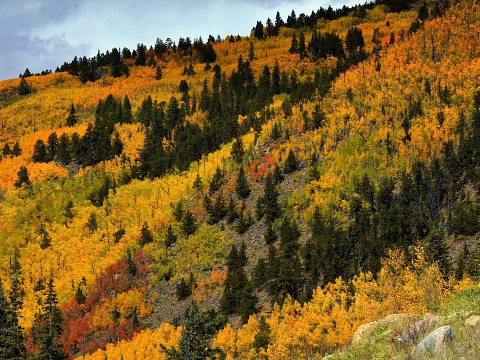 1st image of 1 County Road 22