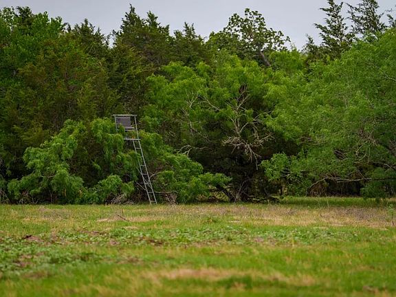 5th image of Walter Hoffman Rd