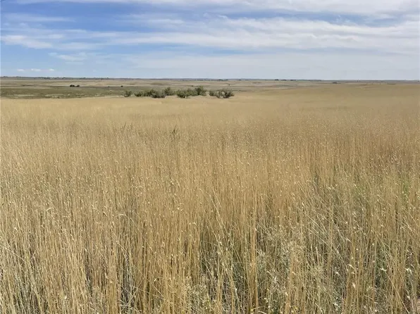 S County Road 137, Bennett, CO 80102