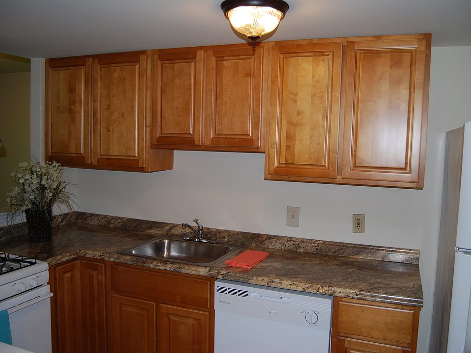 Kitchen - new cabinets, new counter tops and new dish washer