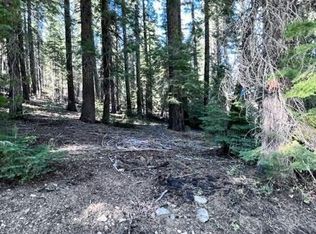 101 Snowshoe Ln, Strawberry Valley, CA