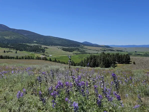 4 Nevada Creek Ranch Rd, Helmville, MT 59843
