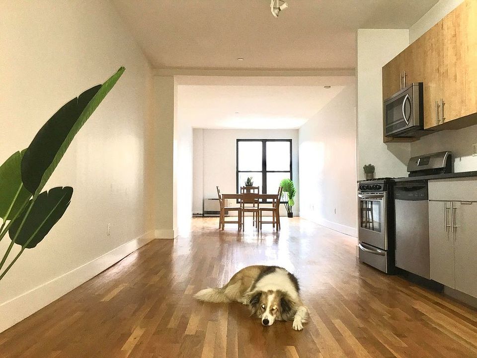 1st image of 101 Jefferson Ave #1K