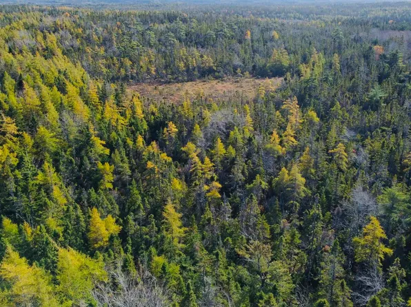 Mountain Rd, Inverness, NS B0E 2Y0