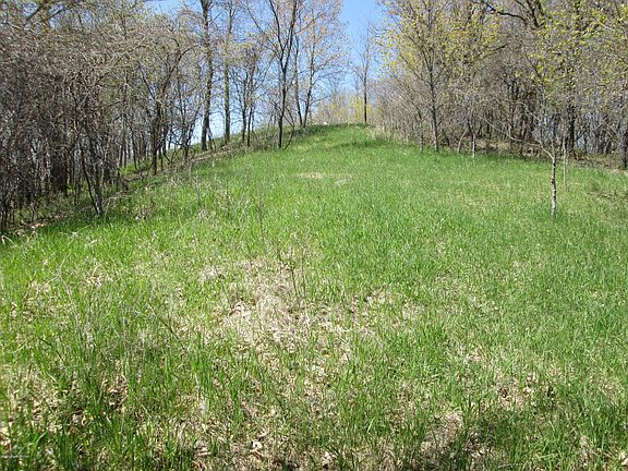 5th image of 45XXX County Highway 31