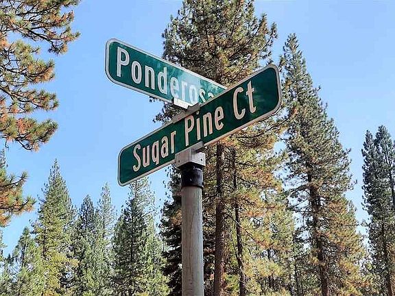 5th image of 49 E Ponderosa Dr