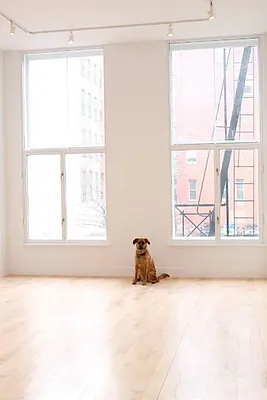 Rented by Level Group | media 50