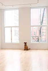 Rented by Level Group