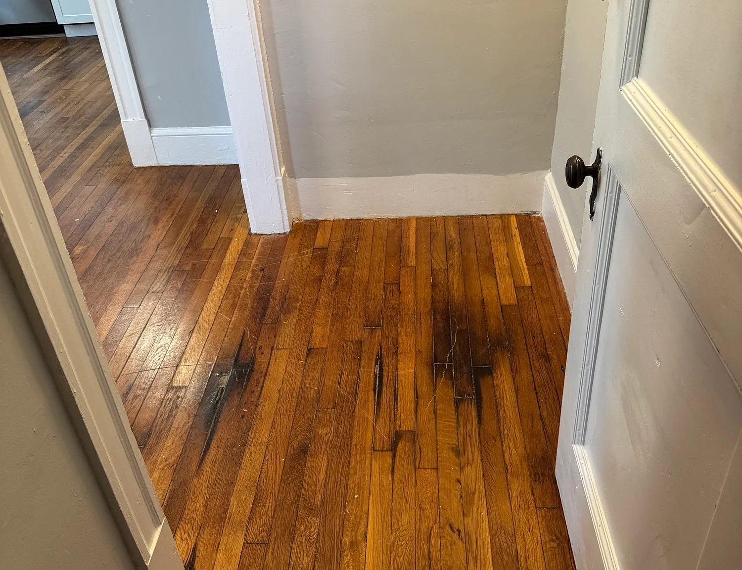 113 Sherwood Street — Photo 4