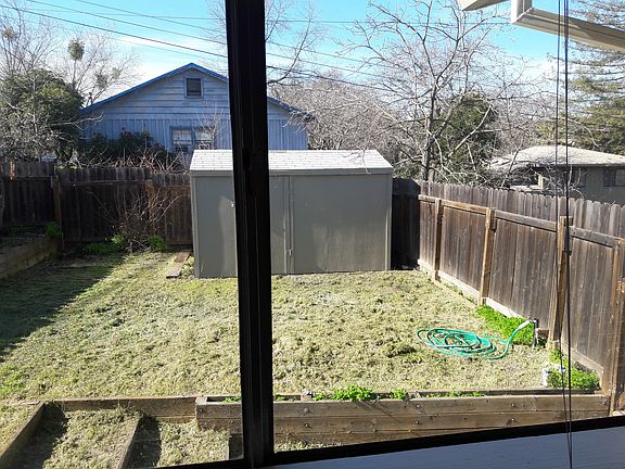 Side yard through window